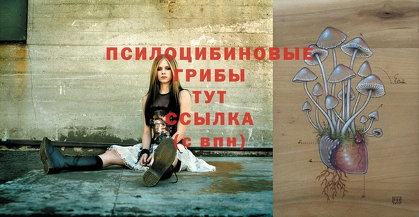 не бодяженный Алексин