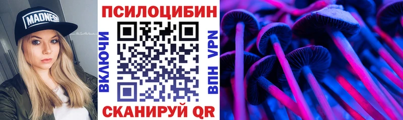 сколько стоит  Кувшиново  Псилоцибиновые грибы Cubensis 